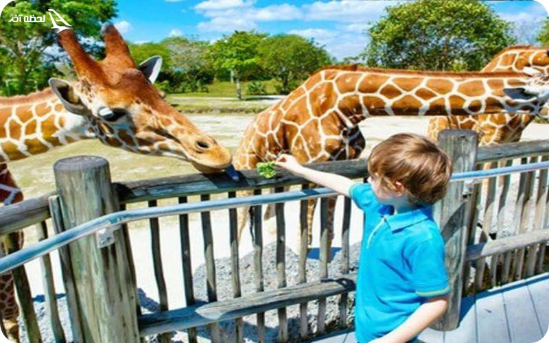 دهکده کاوشگر؛ معروف ترین بخش باغ وحش دبی دهکده کاوشگر؛ ملاقات با حیوانات گوناگون