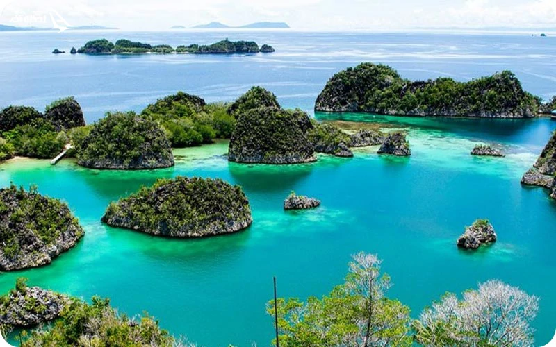 تکه ای از بهشت در جزایر راجا آمپات اندونزی راجا آمپات؛ لوکیشنی برای غواصان