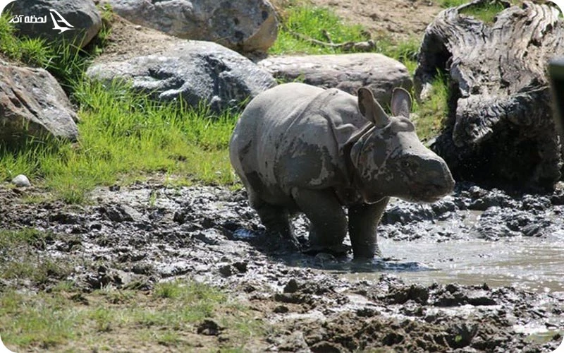 بخش آمریکا؛ زیبایی های قاره آمریکا