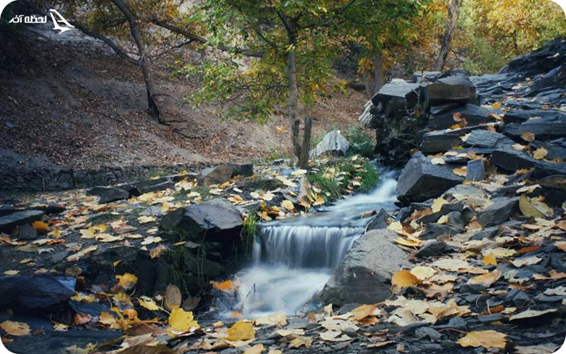 رودخانه و باغ های میوه کنگ؛ طبیعتی چشم‌نواز