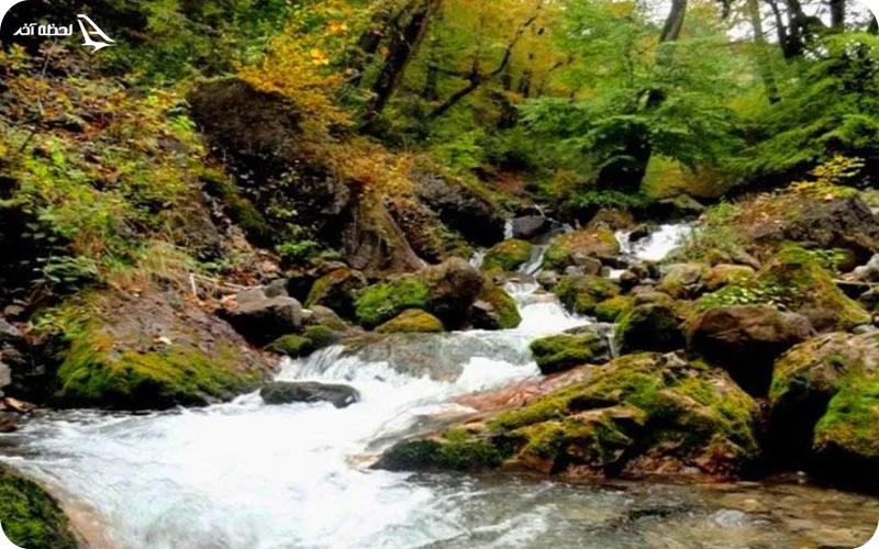 رودخانه نشتارود رودخانه نشتارود؛ طبیعت بکر و آرامشبخش