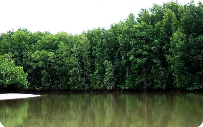 روز دوم؛ عجایب زمین‌شناسی و جنگل‌های حرا