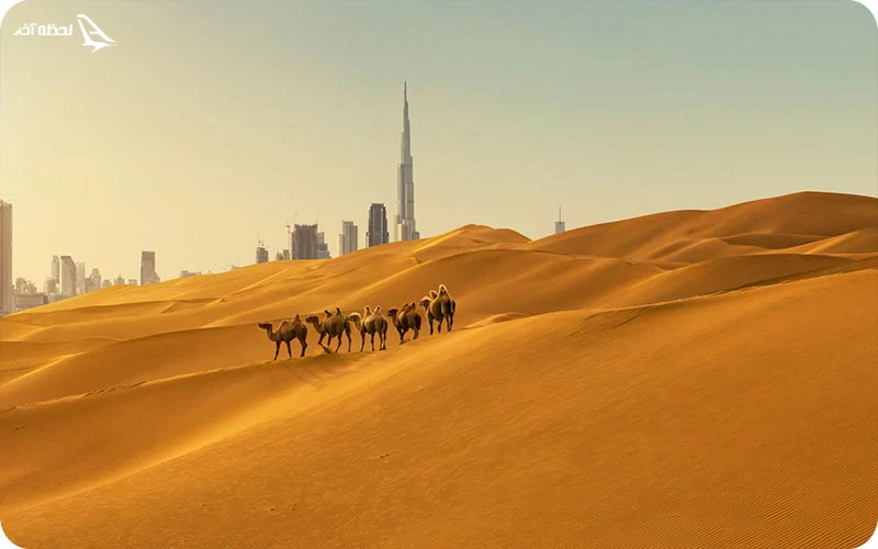 روز دوم؛ ماجراجویی در صحراهای اطراف دبی