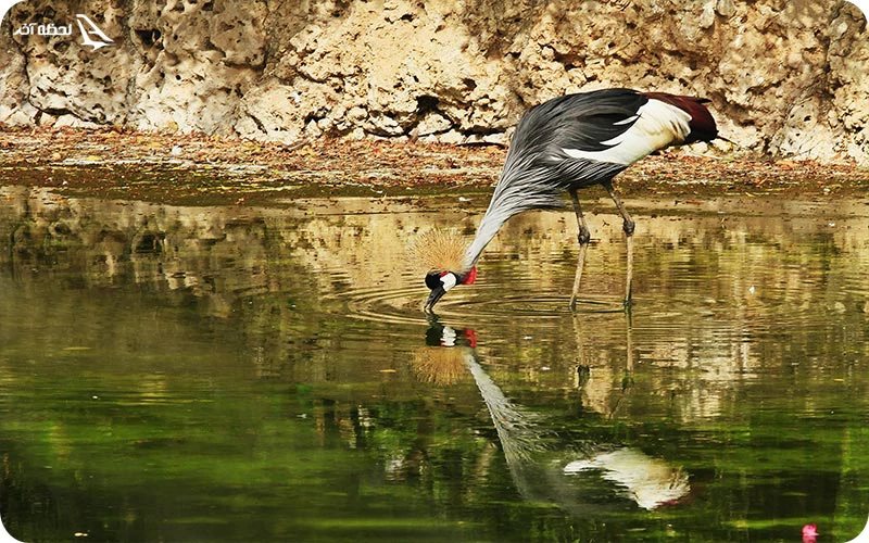 روز سوم؛ شنا در شرایط مطلوب آب‌وهوایی هتل