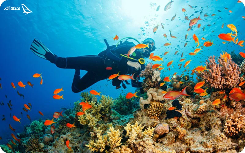 روز ششم؛ غواصی در دریای اژه