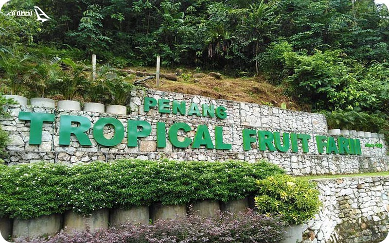 روز ششم؛ کشف مزارع میوه و کارخانه‌های ادویه