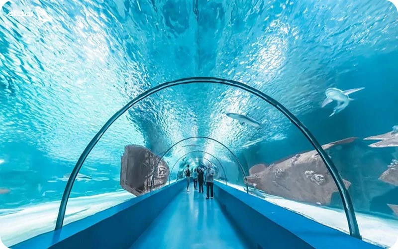 روز هفتم؛ به غار کارین و آکواریوم آنتالیا بروید