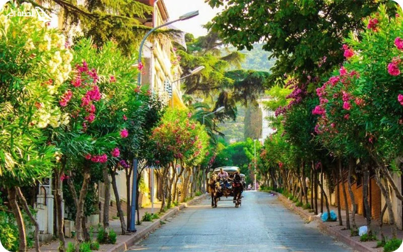 روز پنجم؛ دوچرخه‌سواری در جزیره پرنس