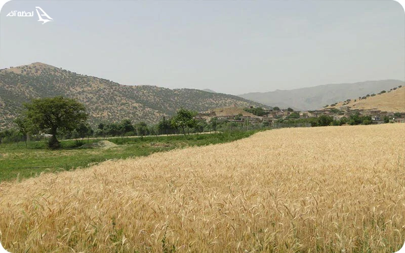 روستای شوی؛ کوچک اما سرسبز در رشته‌ کوه‌های زاگرس