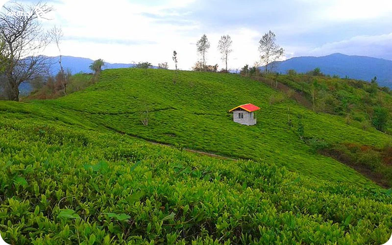 روستای لیسه رود روستای لیسه رود