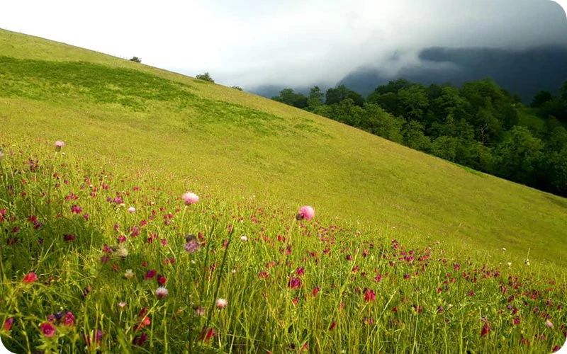 روستای مشند