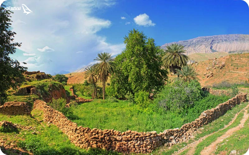 پیاده‌روی در باغ‌های انار روستای نورآباد