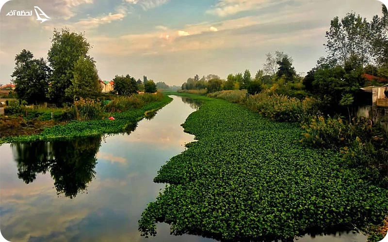 روستای چالدشت روستای چالدشت