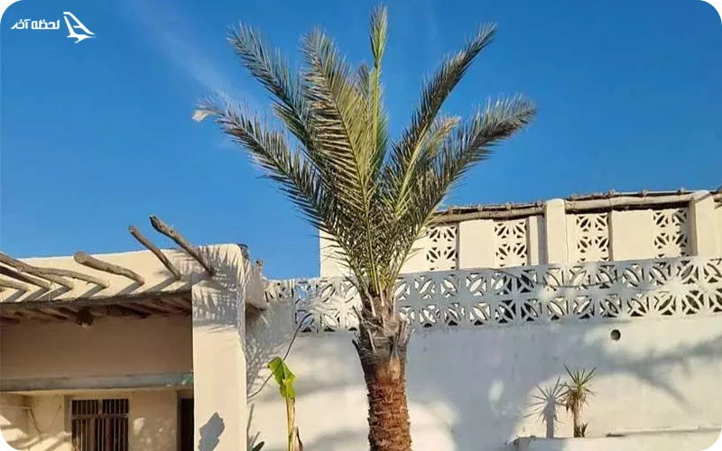 روستای کاسه سلخ روستای کاسه سلخ؛ تپههای آتشفشانی و چشمه درمانی