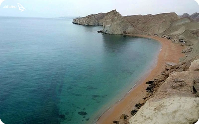 ساحل اَلپی پارسیان؛ لاک‌پشت‌های دیدنی