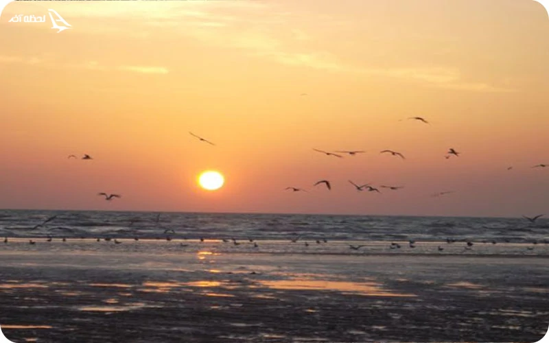 ساحل بندر حماد؛ قطب اقتصاد بوشهر