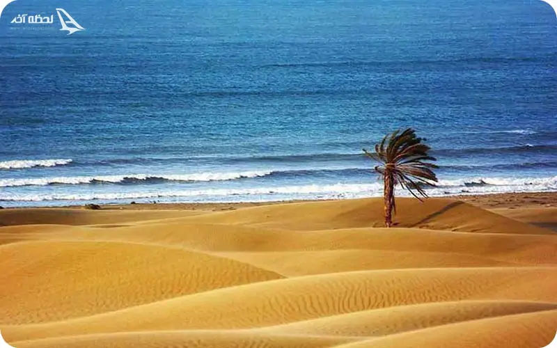 ساحل درک؛ دوستی کویر و دریا ساحل درک؛ دوستی کویر و دریا