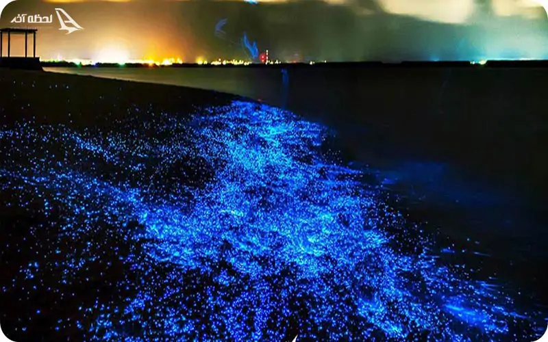 ساحل شبتاب بندر تنگ ساحل شبتاب بندر تنگ