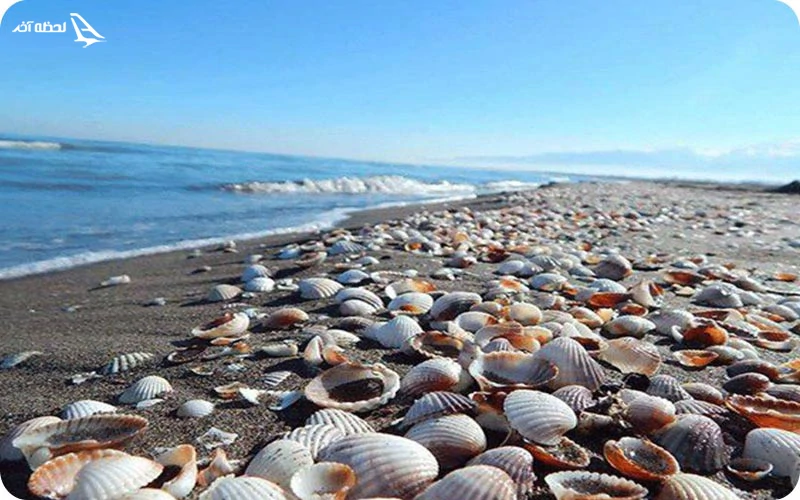ساحل صدفی پارسیان؛ پدیده شگفت‌انگیز شکاف صدفی