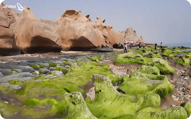 ساحل مکسر کجاست؟