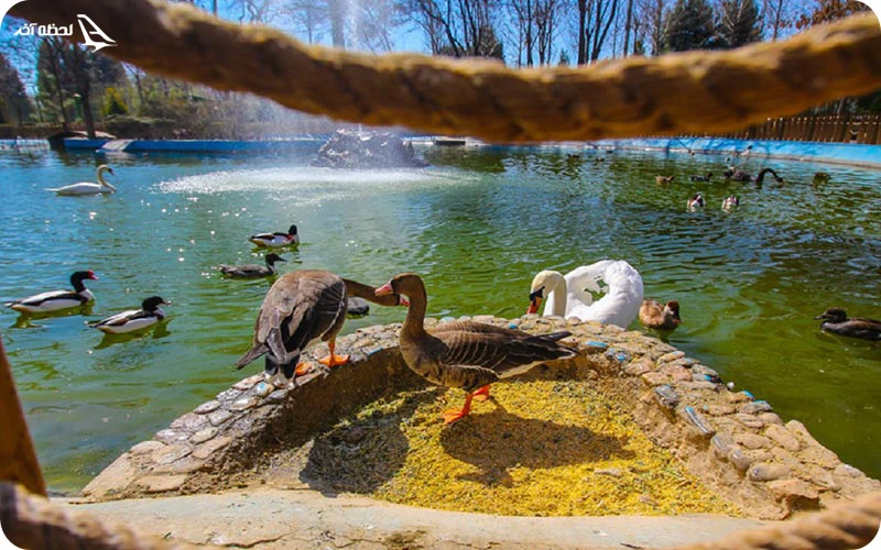 ساعت بازدید و قیمت بلیط باغ پرندگان اصفهان ساعت بازدید و قیمت بلیط باغ پرندگان اصفهان