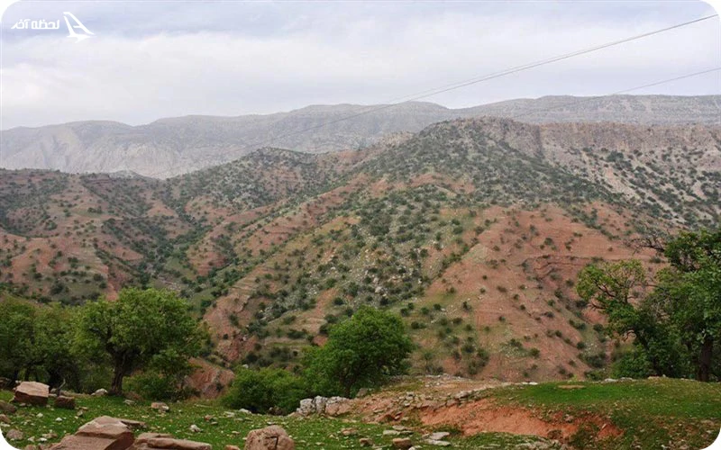 چشمه‌های زلال و خروشان در قله سالن کوه