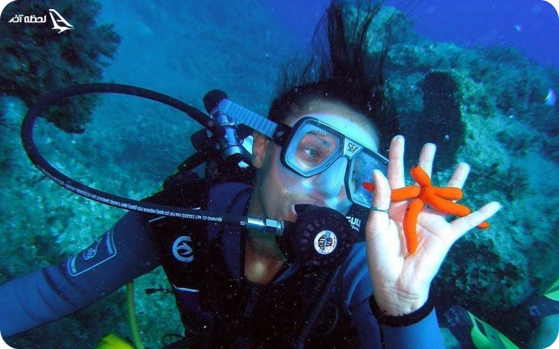 سایت غواصی باغ مرجانی