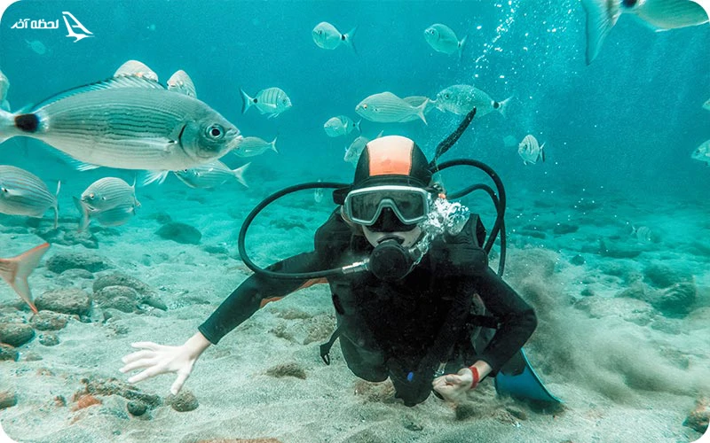 سایت غواصی تخت جمشید