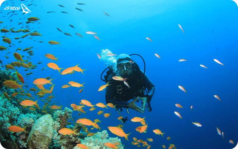 سایت غواصی دره ستاره ها