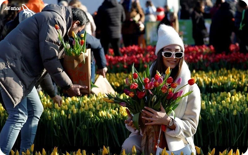 جشنواره های آمستردام سفرتان را با جشنواره های آمستردام همزمان کنید