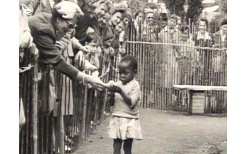 سیرک ها و نمایش های عجیب و غریب