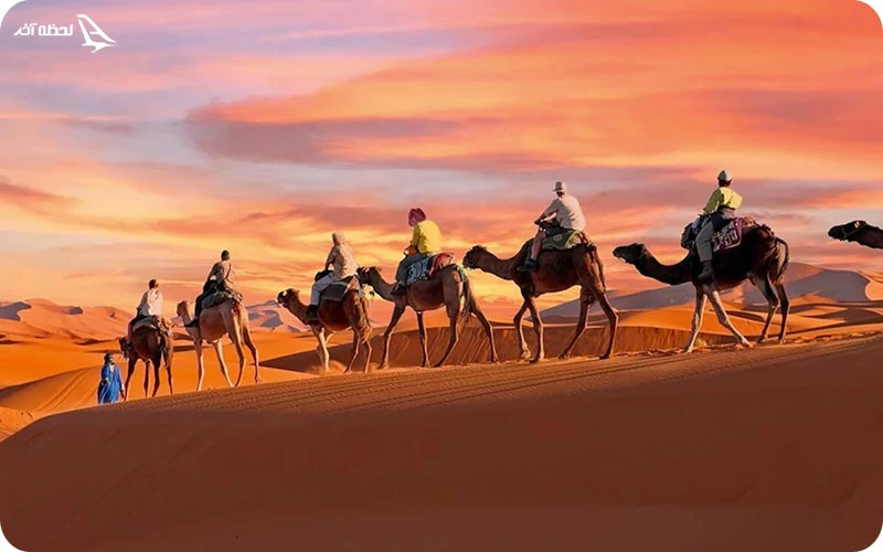 تجربهای فراموش نشدنی با شتر سواری در صحرا شتر سواری در صحرا