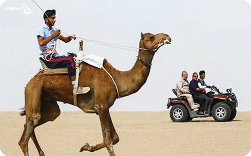 لذت تفریح شترسواری در کویر شهداد شتر سواری در کویر شهداد