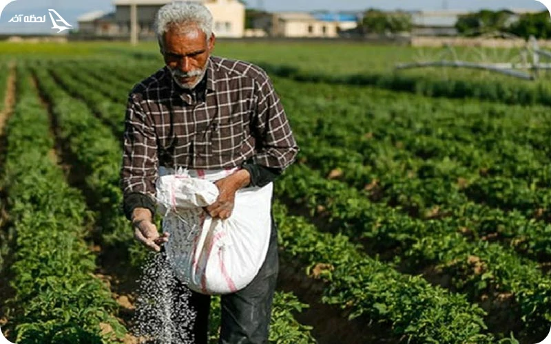 دامپروری و کشاورزی؛ شغل مردم روستای زرگر شغل مردم روستای زرگر