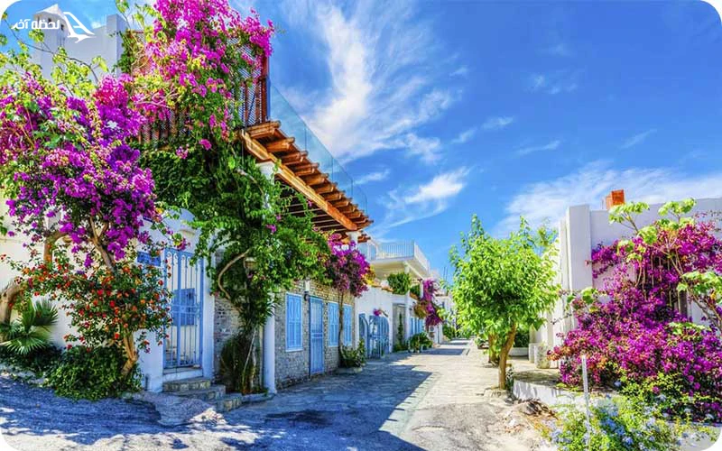 شهر قدیمی بدروم شهر قدیمی بدروم؛ خانههای سفید پوشیده از تاک و گل کاغذی