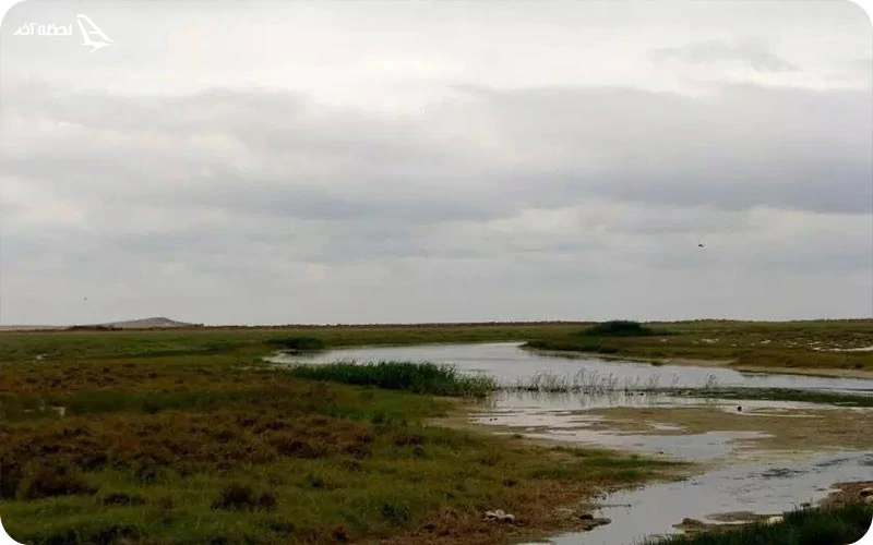 منطقه شکار ممنوع صوفیکم