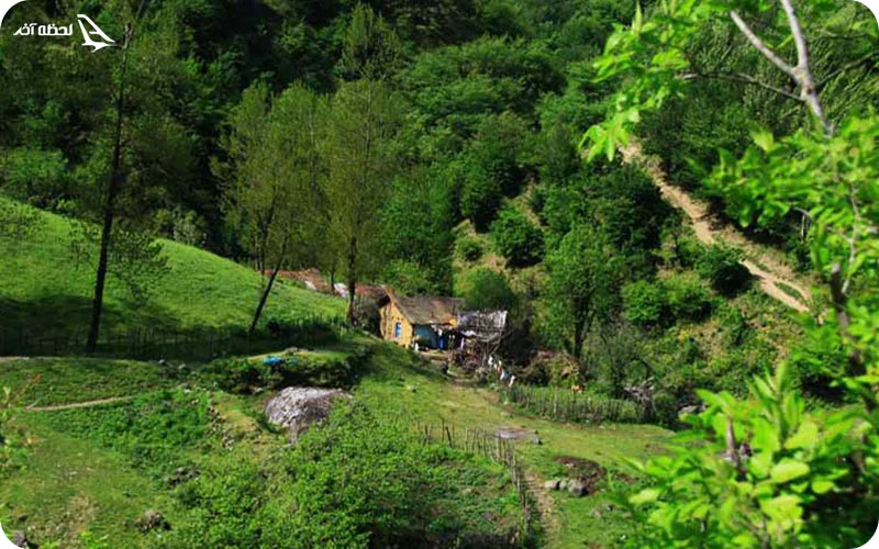 طبیعت تماشایی جنگل فندقلو طبیعت تماشایی جنگل فندقلو