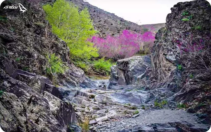 آب و هوای دره ارغوان مشهد آب و هوای دره ارغوان مشهد؛ بهترین زمان بازدید