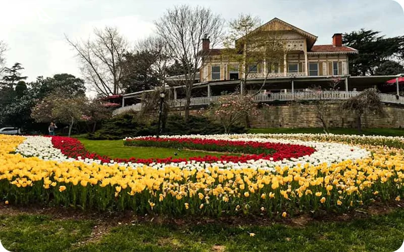 عمارت زرد پارک امیرگان عمارت زرد؛ چشماندازی باشکوه به تنگه بسفر