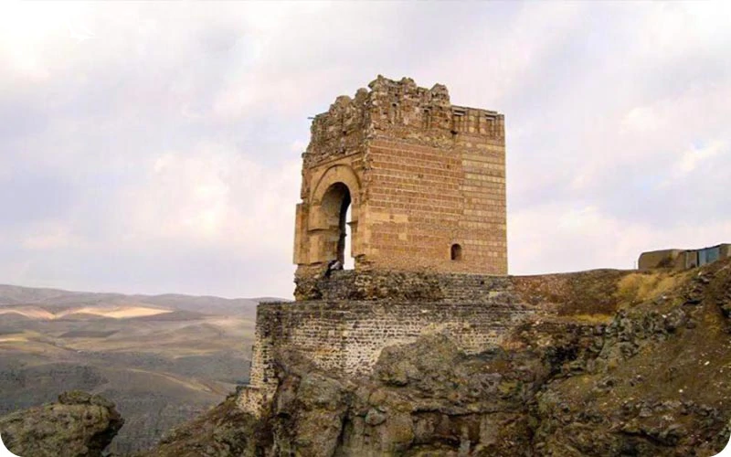 عجب شیر کجاست؟ عجب شیر