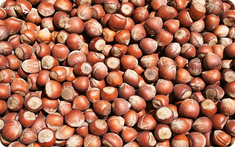 فندق ترابزون