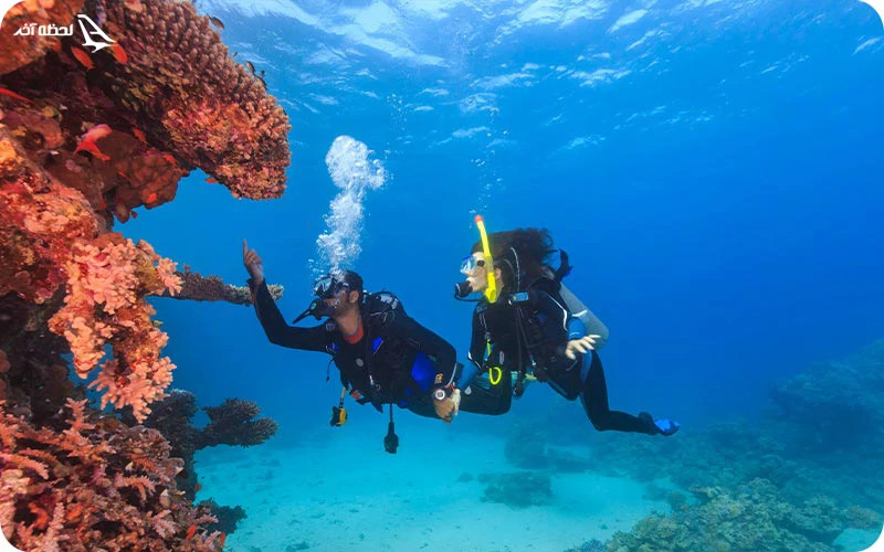 قیمت بلیط غواصی در قشم 