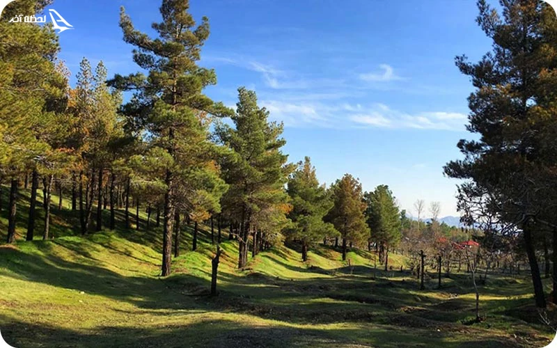 پارک جنگلی لویزان؛ آرامش در میان درختان سرسبز