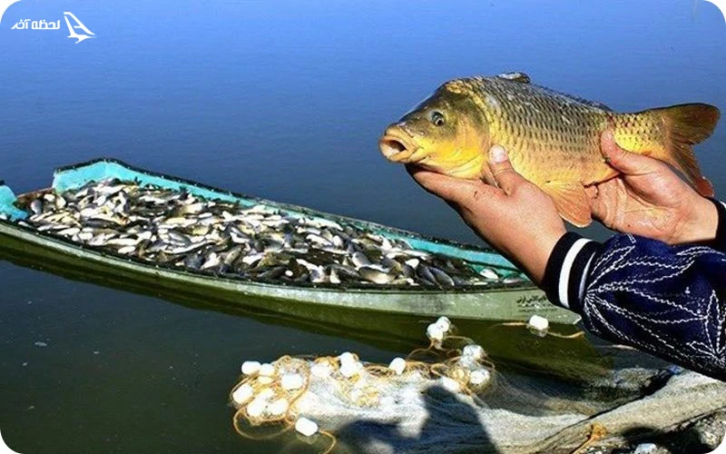 تجربهای متفاوت از ماهیگیری در تالاب سوستان لاهیجان ماهیگیری؛ تجربهای لذتبخش