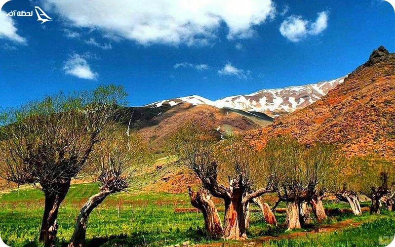مختصری از تاریخچه روستای افجه مختصری از تاریخچه روستای افجه