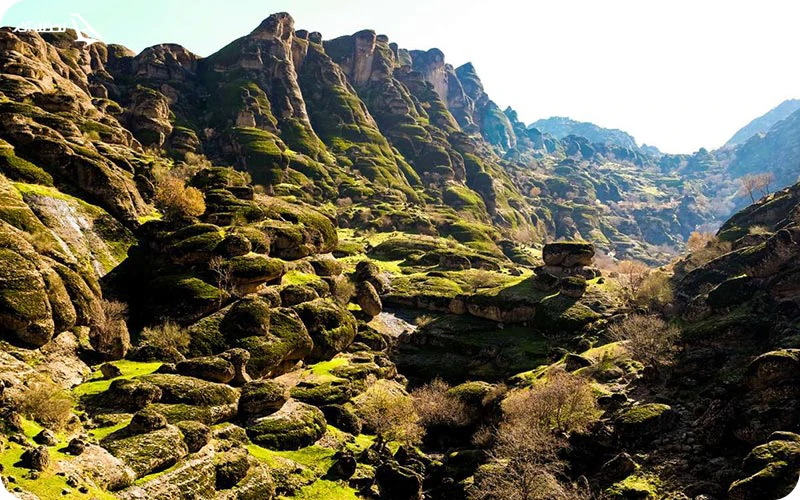 مخمل کوه شگفتی های حیات مخمل کوه لرستان