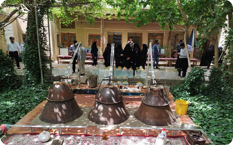 نحوه گرفتن گلاب از گل‌های محمدی؛ روش‌های سنتی و مدرن