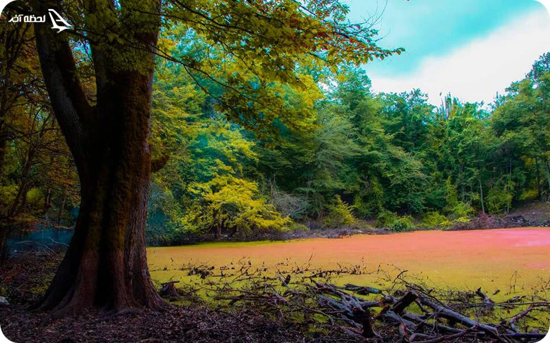 مرداب هسل؛ مرداب رنگی ساری مرداب هسل