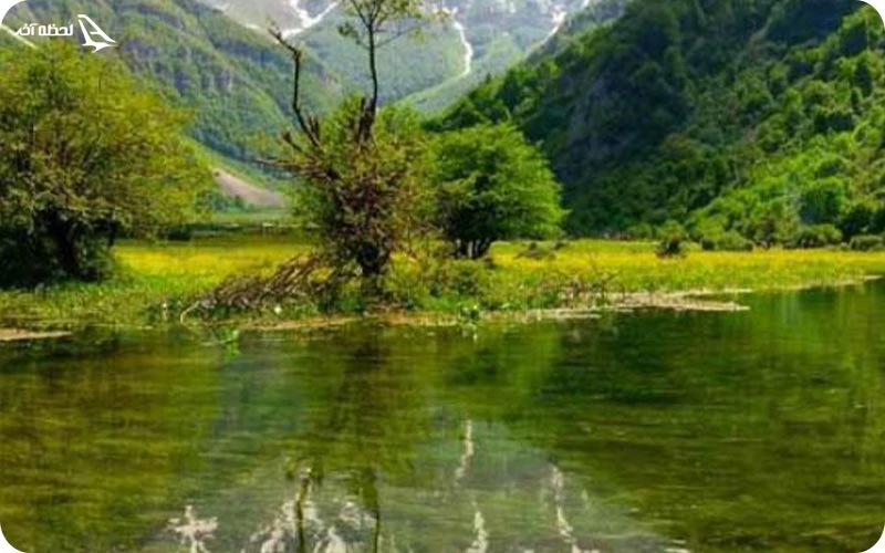 مرداب نشتارود مرداب نشتارود؛ تنوع زیستی