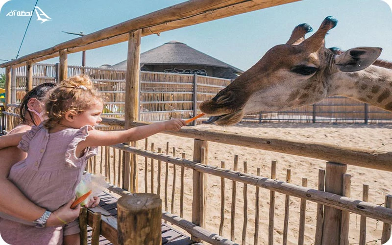 مزرعه کودکان در باغ وحش دبی مزرعه کودکان؛ سرگرمی عالی برای کودکان